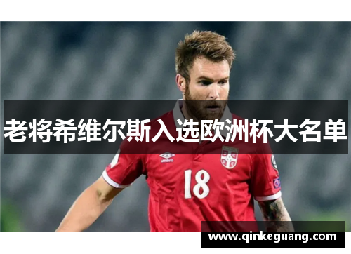 老将希维尔斯入选欧洲杯大名单